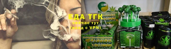 индика Абдулино