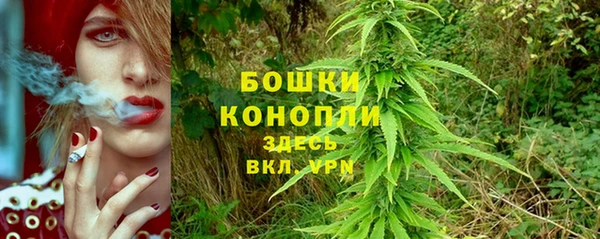 дживик Абаза