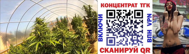 купить наркоту  Копейск  Дистиллят ТГК THC oil 