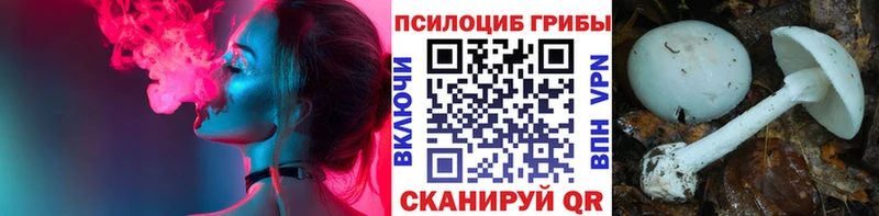 купить наркотик  Копейск  Галлюциногенные грибы Magic Shrooms 